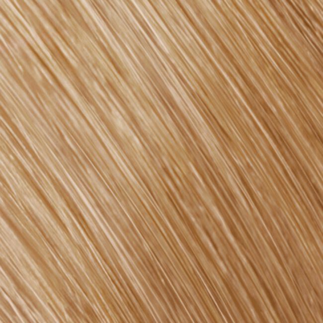Topchic Zero Ammonia Free Hair Color 8G Light Gold Blonde