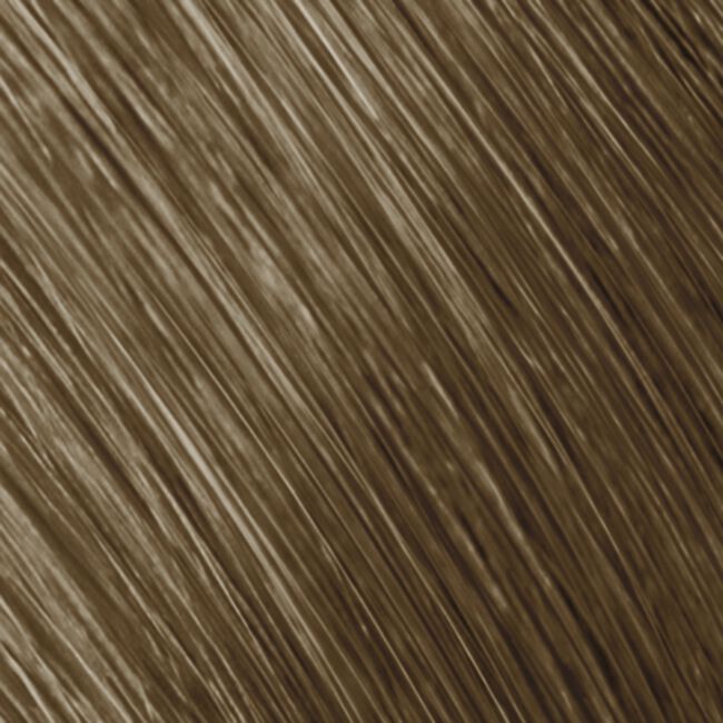 Topchic Zero Ammonia Free Hair Color 8SB Light Silver Blonde