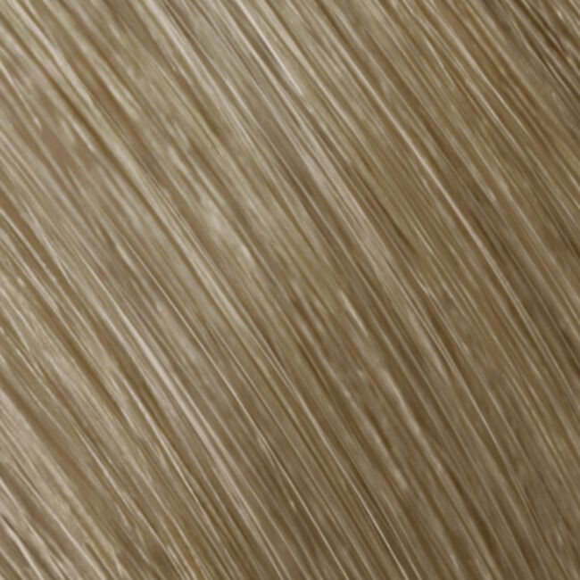 Topchic Zero Ammonia Free Hair Color 9NA Very Light Natural Ash Blonde