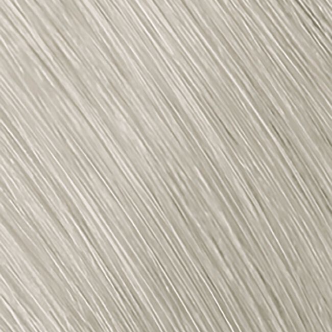 Topchic Zero Ammonia Free Hair Color 10SB Extra Light Silver Blonde