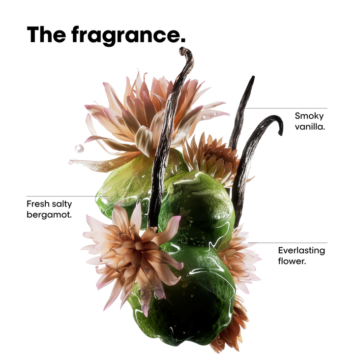 Absolut Repair Molecular Spring Set