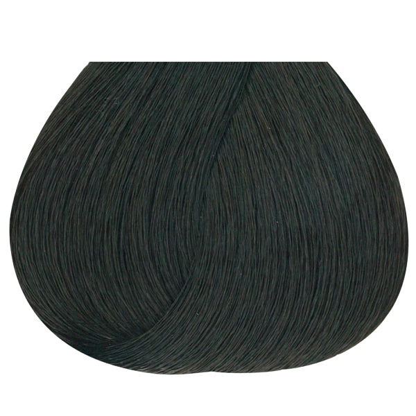 Studio Stylist Express 10 Minutes Permanent Color 4B