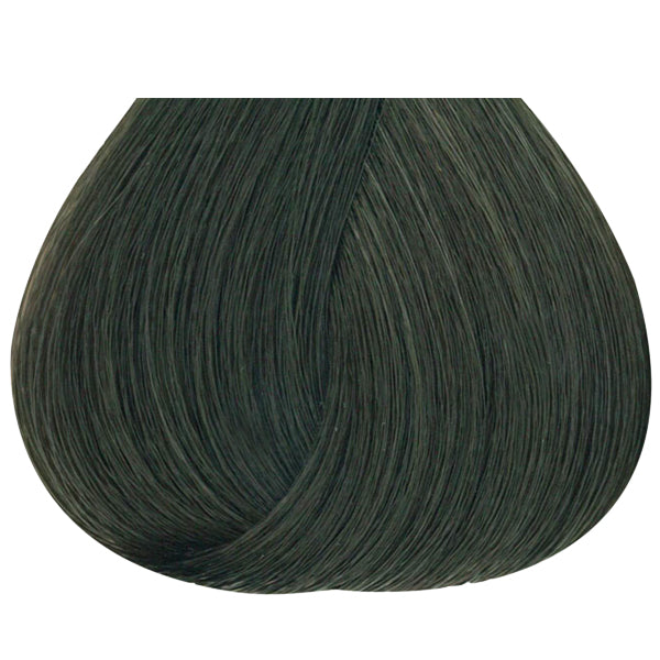 Studio Stylist Express 10 Minutes Permanent Color 6N