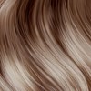 Sheer Collection Demi Permanent Hair Color 9.23VG
