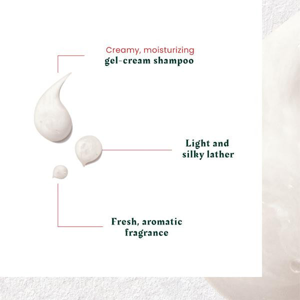 Neopur Microbiome Expert Anti Dandruff Balancing Shampoo For Dry & Flaky Scalp