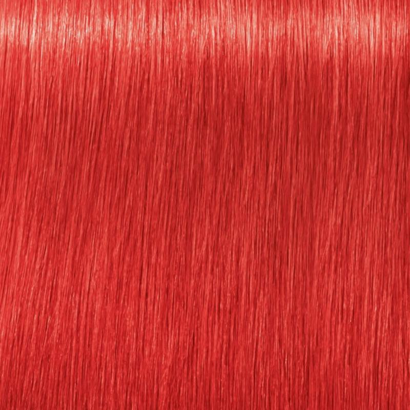 Igora Vibrance Tone on Tone Coloration 0.88 Red Concentrate