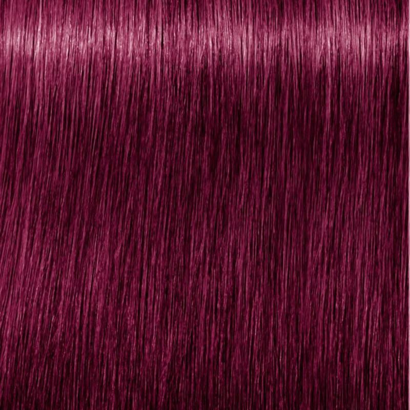 Igora Vibrance Tone on Tone Coloration 0.89 Red Violet Concentrate