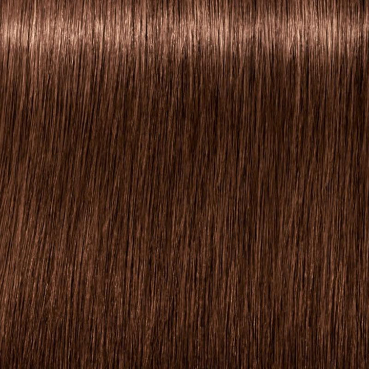 Igora Vibrance Tone on Tone Coloration 6.68 Dark Blonde Chocolate Red