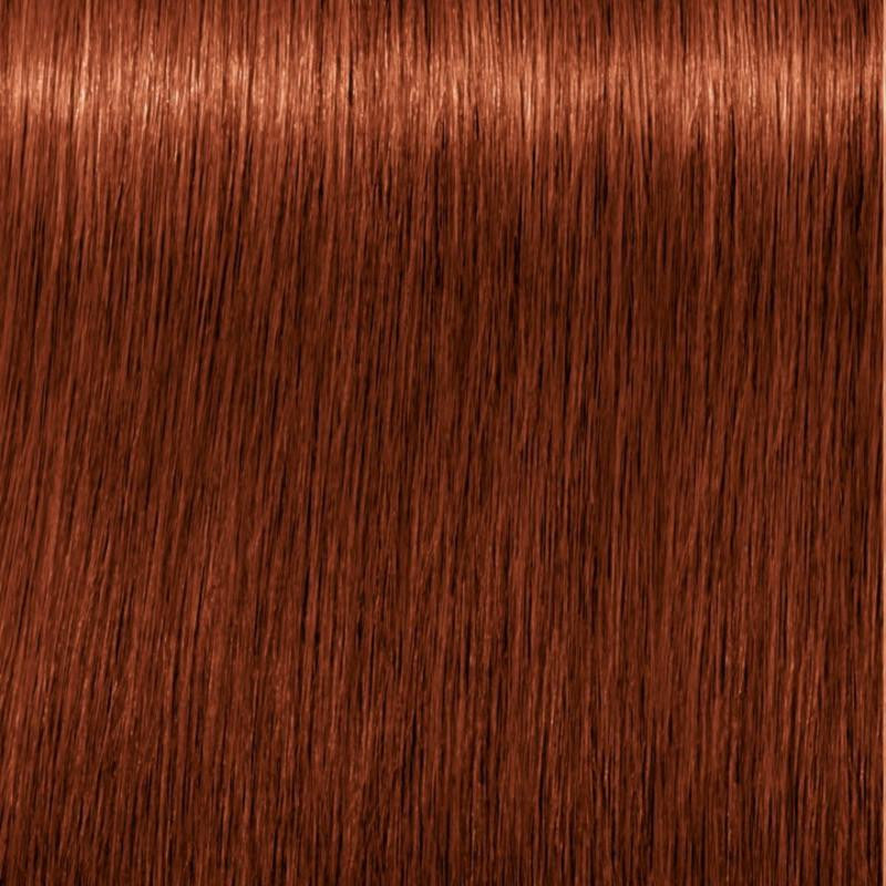 Igora Vibrance Tone on Tone Coloration 6.78 Fiery Copper