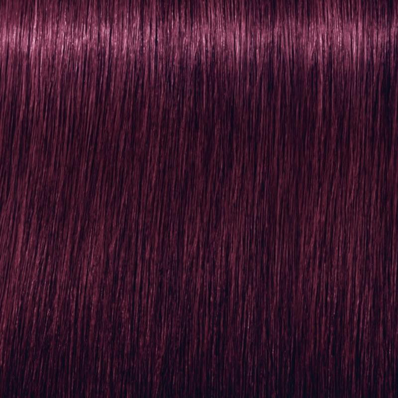 Igora Vibrance Tone on Tone Coloration 6.99 Dark Blonde Violet Extra