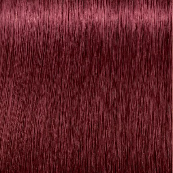 Igora 5-88 Zero Ammonia Permanent Hair Color