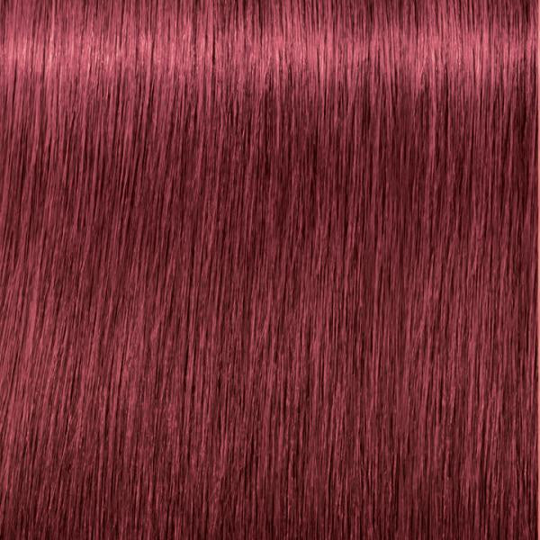 Igora 6-88 Zero Ammonia Permanent Hair Color