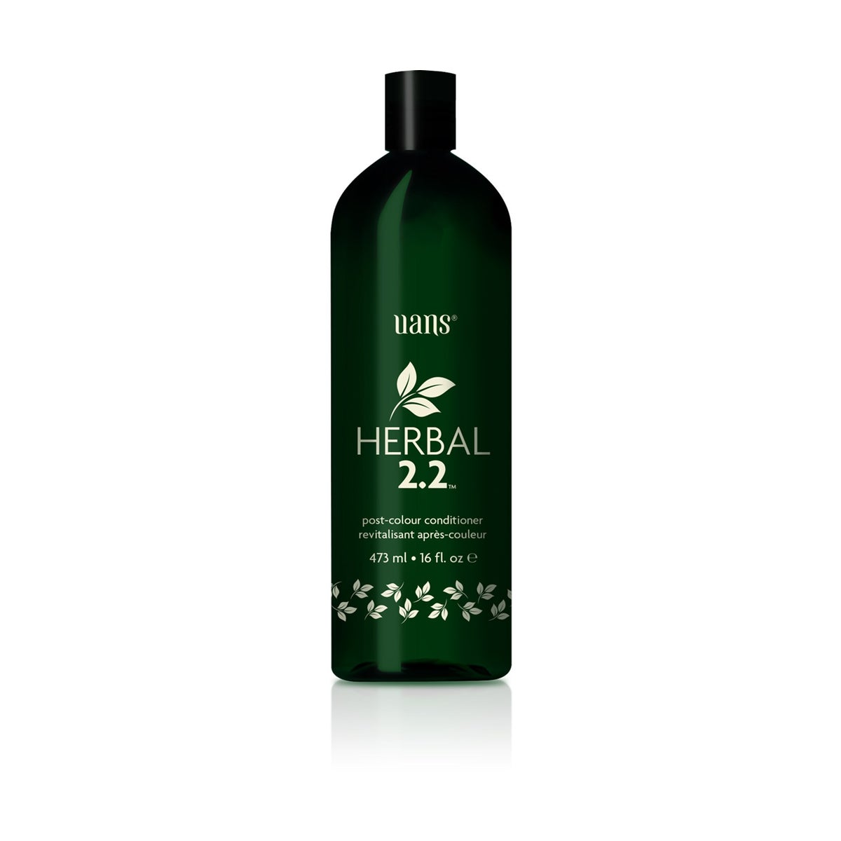2.2 Herbal Post Color Conditioner