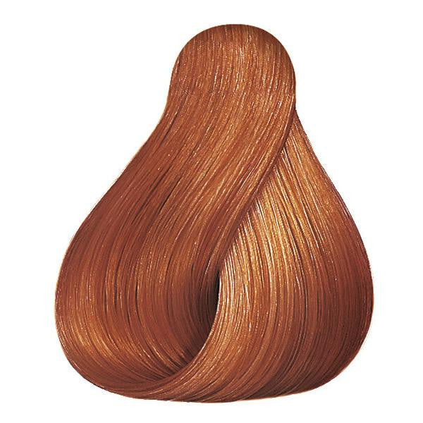 Color Touch Vibrant Reds 8/43 Light Blonde/Red Gold Hair Color